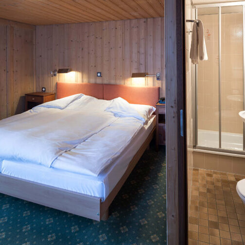 Doppelzimmer-Dusche-Hotel-Post-Bivio